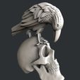 P106-2.jpg Skull raven