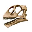 01.jpg Mamenchisaurus 3D skull