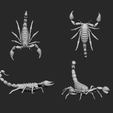 SCORPION1.png Scorpion
