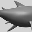 17_TDA0486_SharkA05.png Shark