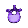 VertebralColumn12.stl Skeleton bones (244 bones teeth included)