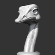 04.png Ostrich Head AM31 3D print model