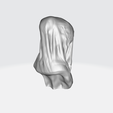 f.png The Veiled Virgin by Giovanni Strazza