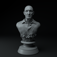1.png Mike Ehrmantraut Breaking Bad Premium 3D Bust STL