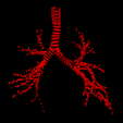 7.png 3D Model of Cardiovascular System, Thorax and Abdomen