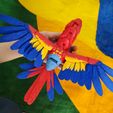 IMG_20230911_152721318.jpg Scarlet Macaw Articulated Figure