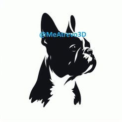 03.jpeg French Bulldog #03