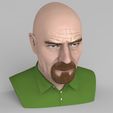 walter-white-breaking-bad-bust-ready-for-full-color-3d-printing-3d-model-obj-stl-wrl-wrz-mtl (11).jpg Walter White Breaking Bad bust ready for full color 3D printing