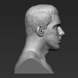 8.jpg Michael Phelps bust 3D printing ready stl obj formats