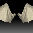 42.3.jpg 2 Paar Flügel 3D-Druckmodell
