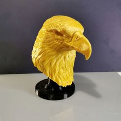 Pygargue à tête blanche