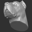 19.jpg Cane Corso dog head for 3D printing