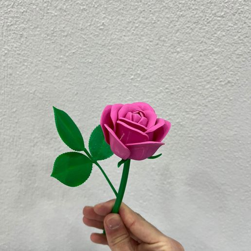 WhatsApp-Image-2026-02-12-at-04.13.53-2.jpeg Modular Rose  - Snap-Fit Design valentine day