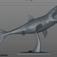 17.png White Shark Statue