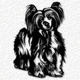 project_20230517_1122596-01.png Chinese Crested wall art chinese crested dog wall decor 2d art