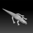 cr1.jpg Crocodile - Crocodile for game - unity 3d - ue5- Crocodile toy