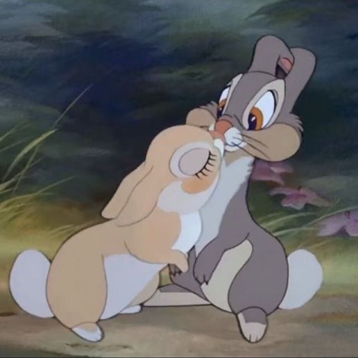 thumper rabbit picture