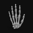 skeleton-hand-3d-model-obj-fbx-stl-5.jpg Skeleton Hand