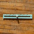 IMG_7161.jpg Sliding ruler/gauge #1