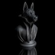 ShopA.jpg German shepherd dog with collar cape on pedestal