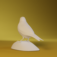 0004.png Canary