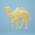chameau-4.jpg Camelus 🐫