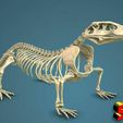 komodo-dragon-skeleton-3d-model-obj-fbx-stl.jpg Komodo Dragon Skeleton 3D printable Model