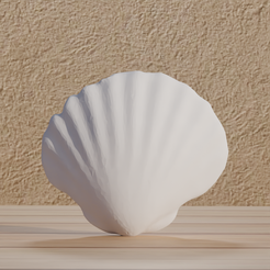 0001.png File : Shell reproduction - Coquille st Jacques in digital format