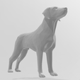 3.png Braco Dog breed 3d model