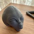 ImportedPhoto.761818970.905909.jpeg Grey Alien Wall Bust