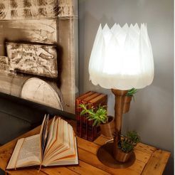 couverture.jpg Lampe et support à succulentes, lamp and holder,