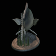 Dentex-statue-1-14.png fish Common dentex / dentex dentex statue underwater detailed texture for 3d printing