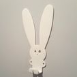 20160127_190527.jpg Wall clothes hangers - Bunny