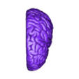 STLTG - brainFrontal-parietal_L.stl 3D Model of Human Brain
