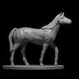 Riding_Horse_modeled.JPG Misc. Creatures for Tabletop Gaming Collection