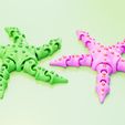 01.jpg Flexi Starfish