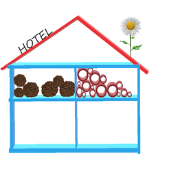 hotel-de-insectos.png INSECT HOTEL