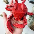 20220515_191451858_iOS.jpg STL file Articulated Spider Crab Flexi Toy・3D printer design to download