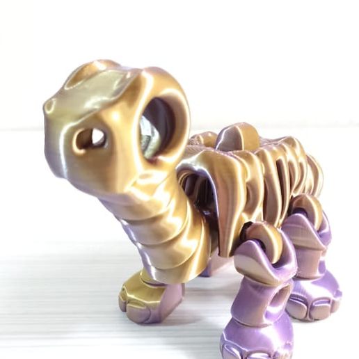 WhatsApp-Image-2024-04-16-at-8.19.07-AM-2.jpeg Nice Sauropod Skeleton