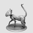 01.jpg CORALINE CAT