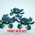 cangrejo2.jpg blue crab printinplace