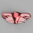 uterus_TUBALAR_OVERLER_çizim_LATUM_HARÇ_UTERN_ARTER_LATUM_DAHL_2022-Sep-05_01-50-38PM-000_Customized.jpg Uterus - Female Internal Genital Organs