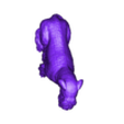 Cesky_Terrier_Pose_04.stl Cesky Terrier Dog 3D Print Model Pose 04
