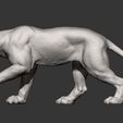 panther8.jpg panther 3D print model