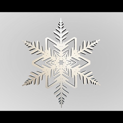 IMG_9295.png Snowflake