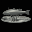 bass-na-podstavci-19.png bass underwater statue detailed texture for 3d printing
