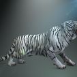 01.jpg TIGER TIGER - DOWNLOAD TIGER 3d model - animated for blender-fbx-unity-maya-unreal-c4d-3ds max - 3D printing TIGER TIGER - CAT - FELINE - MONSTER - RAPTOR PREDATOR