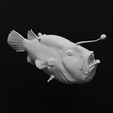 23.png Triplewart Seadevil - Cryptopsaras Couesii - Realistic Angler Fish