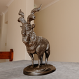 markhor-goat-body-4.png Markhor goat body stl statue 3d print file