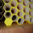 20180419_081957.jpg Mason Bee & Leafcutter Bee Blocks